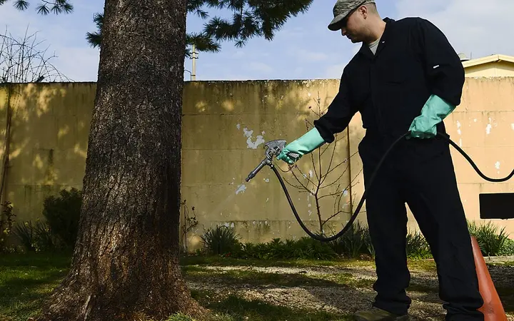 Dead Animal Removal