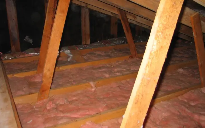 Loft Insulation Removal